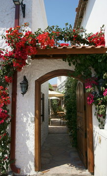 Entrance Gate Of An Old White House Covered With Beautiful Flowers 