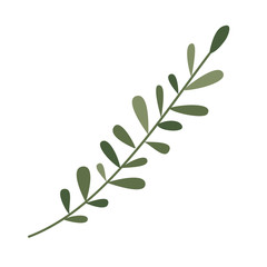 branch with leafs decorative icon vector illustration design