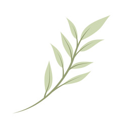 branch with leafs decorative icon vector illustration design