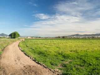 Rural road with a tree and field in the Baix LLobregat