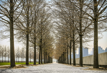 Roosevelt Island