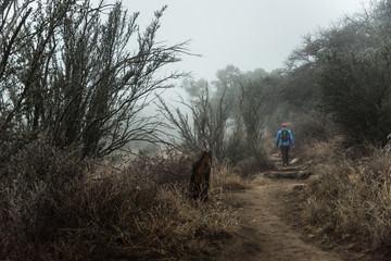 A man walking on a misty desert trail in New Mexico. 