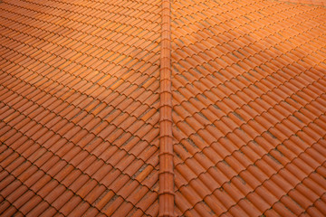 Dirty orange Roof Tiles