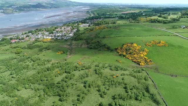 Aerial footage over woodland and yellow gorse covered hillside to the village of Langbank on the south shore of the Firth of Clyde.