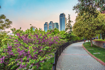 Levent business Center through the Sport park