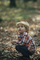 Active kid play in autumn forest. Active rest on fresh air for kid