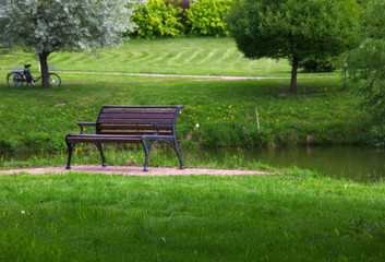 Fototapeta premium Summer Park Wooden Bench