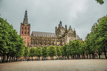 Wide square with cobblestone and trees in front of St. John's Cathedral in a cloudy day at s-Hertogenbosch. Gracious historical city with vibrant cultural life. Southern Netherlands.