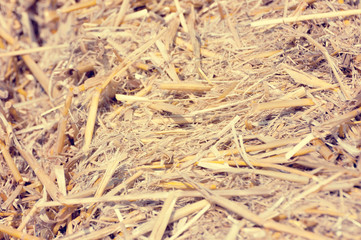 Texture of straw. Copy space or background