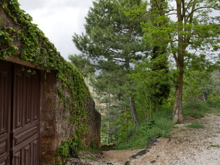Siguenza