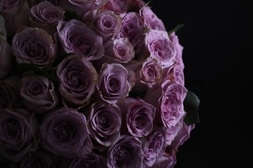 Bouquet of violet roses. Close up