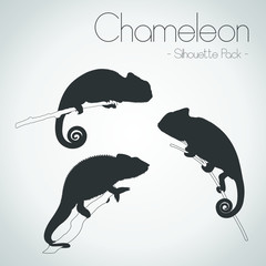Chameleon Silhouette Pack © Akhmad
