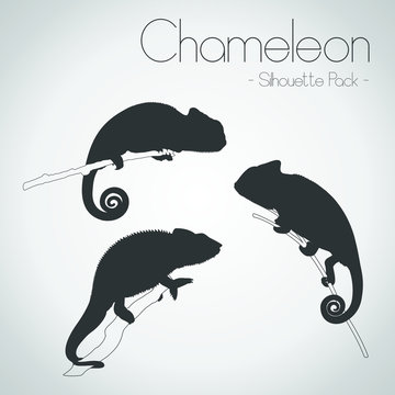 Chameleon Silhouette Pack