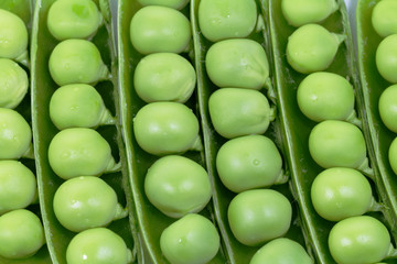 Green peas background