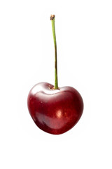 isolated single cherry