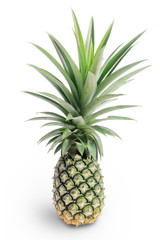 Obraz premium Pineapple on a white background (isolated on white and clipping path)