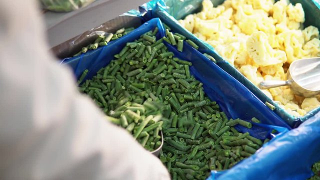 Close-up of a female hand using a scoop poured into a bag a green frozen string bean from a freezer container.