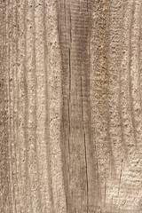 texture of old dry weathered cracked wood, cracks along the fibers of logs, close-up abstract background