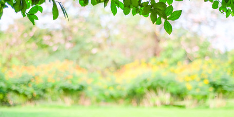 Blurred spring and summer nature outdoor background, Blur green park background