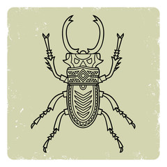 beetle/Hand drawn beetle. Vector design element beetle.