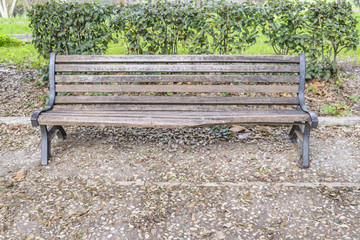 Park Chair, Villa Borghese, Rome, Italy