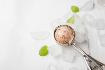 Chocolate ice cream in a spoon for ice cream with ice and mint. With empty space for writing
