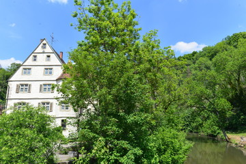 Eyach (Neckar) in Haigerloch 