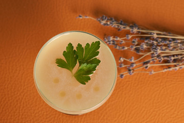 Petrucho cocktail drink on bar table in restaurant. Freshness drink with Parsley Infused, Cacao white, Lawanda bitter, Lemon juice, Simple syrup Parsley