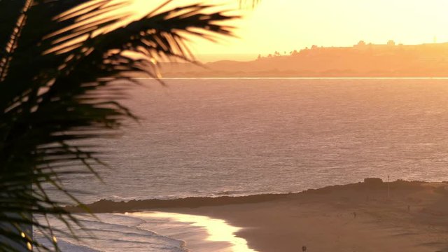 Sunset Beach with Palm Tree on the Island in 4K Slow motion 60fps