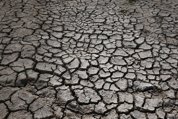 Climate warming dry chapped land