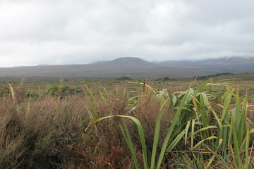 Remote landscape with mountain and cloud