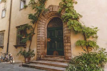 Fototapeta na wymiar big ancient door with plants in old city, Pisa, Italy