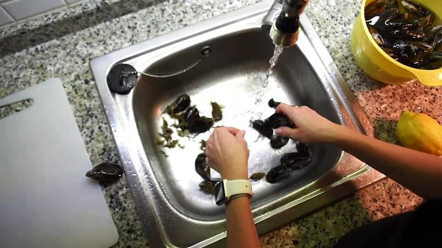 Slow motion of woman hands cleaning mussels from seaweed under the running water in sink and then putting them into bowl with water. Top view.