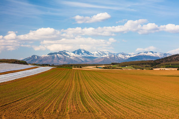 Naklejka premium 北海道の春 畑