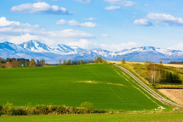 北海道の春　畑