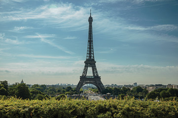 Seine River, Eiffel Tower and greenery under sunny blue sky, seen from the Trocadero in Paris. Known as one of the most impressive world’s cultural center. Northern France. Retouched photo.