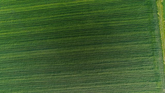 Abstract agricultural area in spring - aerial view, tracking shot