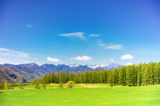 北海道の春