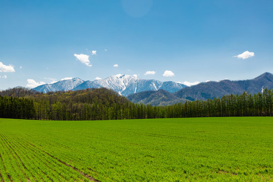 北海道の春