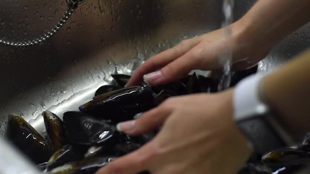 Close-up of female hands washing the raw mussels under running water in sink. Preparation of mussels before the cooking.