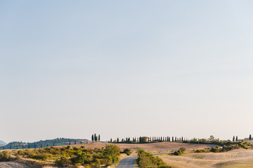 Fototapeta na wymiar scenic view of beautiful Tuscany fields, empty road and clear blue sky, Italy