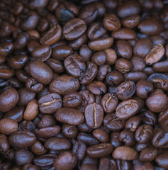 Closed up roasted coffee beans