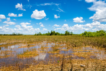Marshes of the Everglades