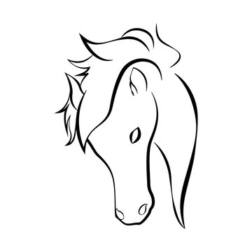 Isolated outline of a horse