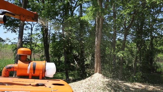 Agricultural machinery, wood shredder chipper Removal and crushing of leaves and other plant waste in parks and forest parks