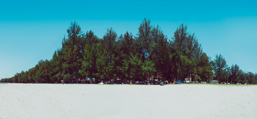 Sand dunes with trees ,Sepang beach , most famous beach in the Malaysia.