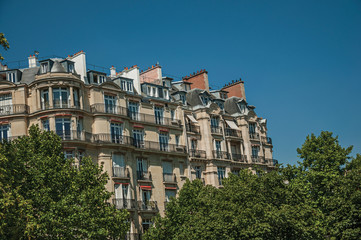 Fototapeta na wymiar Building amidst trees and sunny blue sky with Parisian architecture of Paris. Known as the “City of Light”, is one of the most impressive world’s cultural center. Northern France.