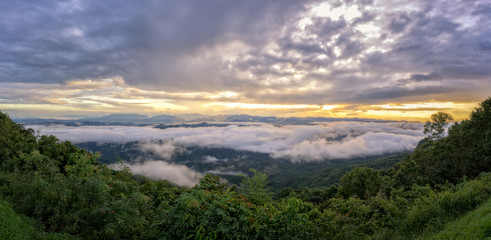 Green forest trees and mountains view landscape winter peak, forest theme, forest scenery, view from the top view of mountains.