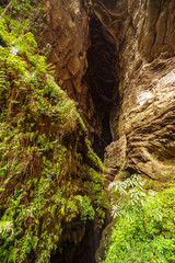 The rock wall of the canyon of longshui gorge
