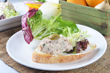 Tuna fish  sandwich with salad on on white plate  